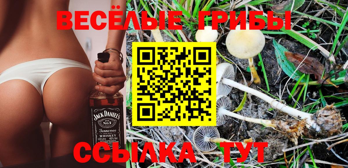 Псилоцибиновые грибы мицелий Ступино
