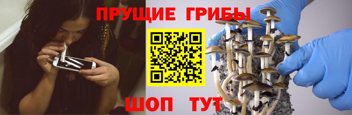 Псилоцибиновые грибы Psilocybine cubensis  где можно купить наркотик  Ступино  Вход с VPN 